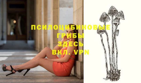 эйфоретик Гусиноозёрск