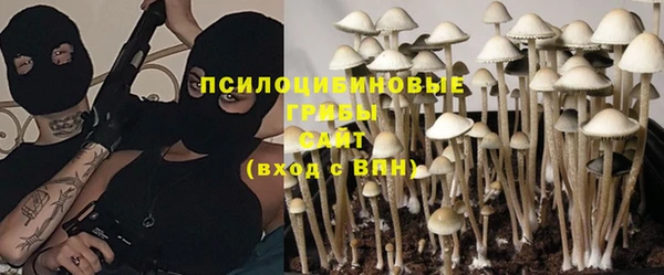 эйфоретик Гусиноозёрск