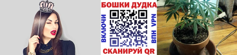 Шишки марихуана план  хочу   Осинники 
